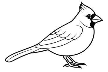 Obraz premium cardinal silhouette line art vector illustration with a white background