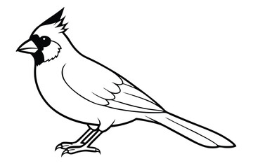 Obraz premium cardinal silhouette line art vector illustration with a white background