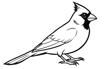 Obraz premium cardinal silhouette line art vector illustration with a white background