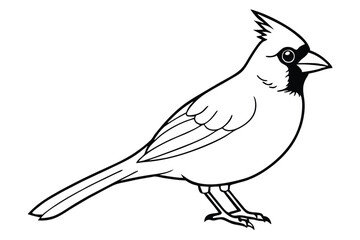 cardinal silhouette line art vector illustration with a white background