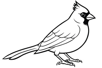 Obraz premium cardinal silhouette line art vector illustration with a white background