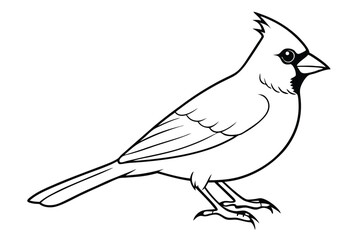 Obraz premium cardinal silhouette line art vector illustration with a white background