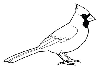 Obraz premium cardinal silhouette line art vector illustration with a white background