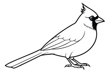 Obraz premium cardinal silhouette line art vector illustration with a white background