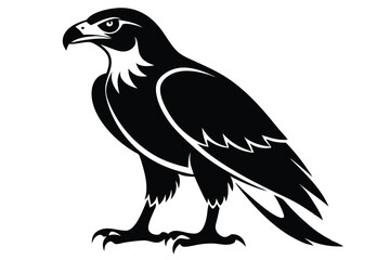 buzzard silhouette line art vector illustration with a white background