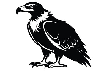 buzzard silhouette line art vector illustration with a white background