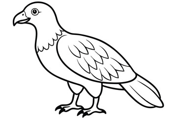 buzzard silhouette line art vector illustration with a white background