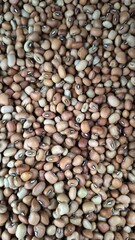 soy bean background