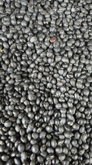 black soybean background