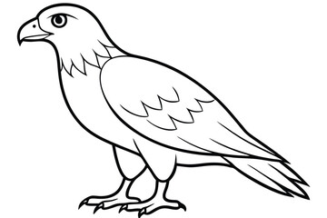 buzzard silhouette line art vector illustration with a white background