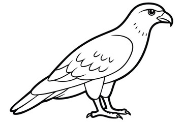 Fototapeta premium buzzard silhouette line art vector illustration with a white background