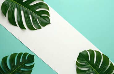 Flat lay composition features rich green monstera leaves arranged diagonally over a split turquoise and white background. Offers ample negative space for text overlay.
