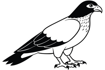 buzzard silhouette line art vector illustration with a white background