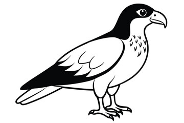 buzzard silhouette line art vector illustration with a white background