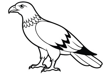 Fototapeta premium buzzard silhouette line art vector illustration with a white background