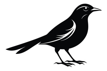 Obraz premium blackbird silhouette line art vector illustration with a white background