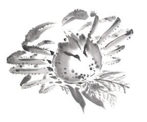 水墨で描いたズワイガニ © 荒井 克典