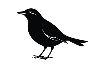 Obraz premium blackbird silhouette line art vector illustration with a white background