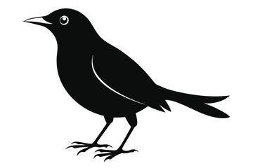 blackbird silhouette line art vector illustration with a white background