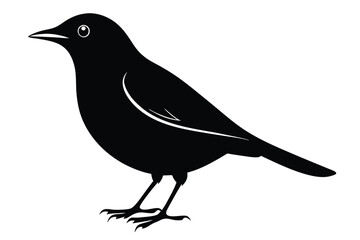 Obraz premium blackbird silhouette line art vector illustration with a white background