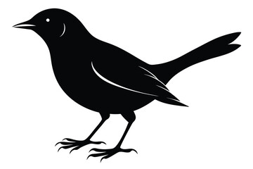 Obraz premium blackbird silhouette line art vector illustration with a white background