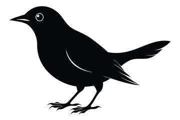 Obraz premium blackbird silhouette line art vector illustration with a white background
