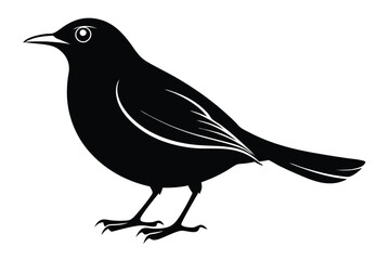 Obraz premium blackbird silhouette line art vector illustration with a white background