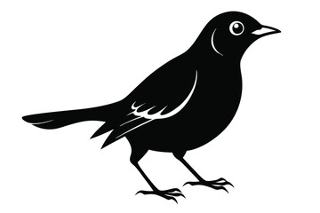 Obraz premium blackbird silhouette line art vector illustration with a white background