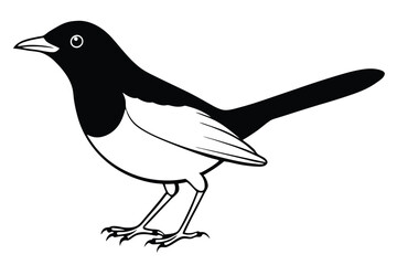 Obraz premium blackbird silhouette line art vector illustration with a white background