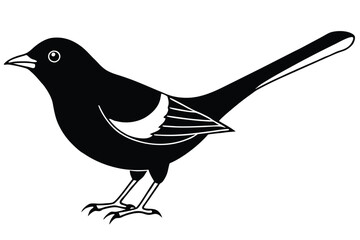 Obraz premium blackbird silhouette line art vector illustration with a white background