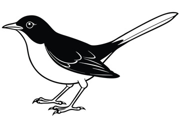 Obraz premium blackbird silhouette line art vector illustration with a white background