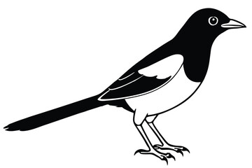 Obraz premium blackbird silhouette line art vector illustration with a white background