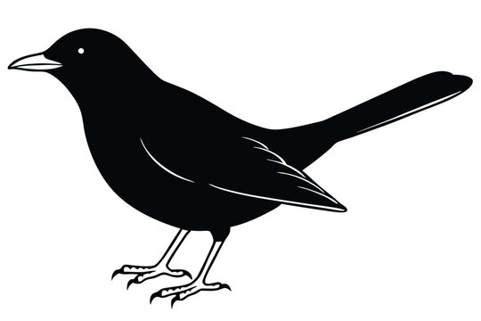 blackbird silhouette line art vector illustration with a white background