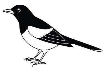 Obraz premium blackbird silhouette line art vector illustration with a white background