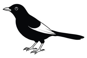 Obraz premium blackbird silhouette line art vector illustration with a white background