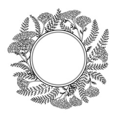 Yarrow Branch with Flowers and Leaves Outline Round Frame. Vector isolated for design or decoration. © cuttlefish84
