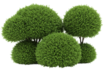 three perfectly pruned emerald green geometric topiary bushes with dense leaf texture, detailed with a macro lens, isolated on a high-key white background, minimalist commercial product photography