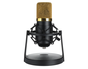 Professional black studio condenser microphone on stand isolated on white
