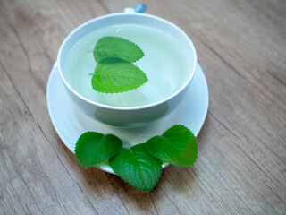 A cup of hot water with Indian borage (Cuban oregano) leaves, showing the herb used for simple herbal tea and natural home remedies.