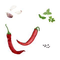 Hot chili peppers, garlic, and parsley. Watercolor digital illustration. Spicy vegetables, red pepper pods, isolated on a background. Suitable for recipes, menus, cookbooks, and farmers' market banner