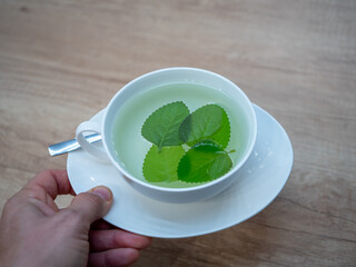 A hand holding a cup of hot water with Indian borage leaves, showing a simple herbal tea made from fresh Cuban oregano.