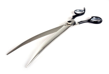 pair of scissors in studio