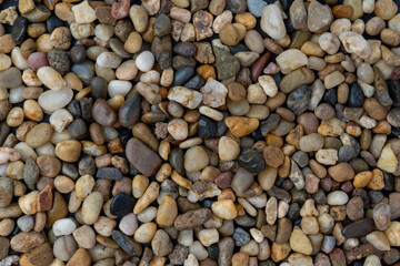 Close-up, full-frame texture shot of naturally varied, small, smooth river stones and pebbles in various colors, ideal as a detailed natural background or geological element.