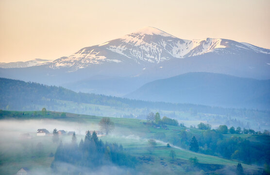 Misty morning in rural valley. Lush green hills dotted with houses and trees, with layer of fog. In the background, snow-capped mountains rise majestically under soft pastel sky. Hoverla, Ukraine.