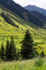 The Karakol Gorge, also known as Karakol Valley, Kyrgyzstan