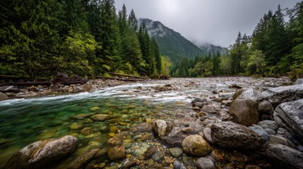 Obraz premium Majestic River Flowing Through Forested Mountains on Overcast Day, Capturing the Serene Natural Landscape