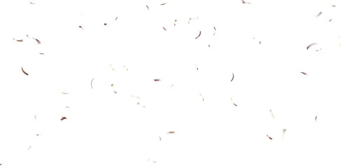 Colorful Confetti against a White Background Tranparent BG Confeti. Confetti partical isolated background. 3d Rendering Transparent Confetti.	