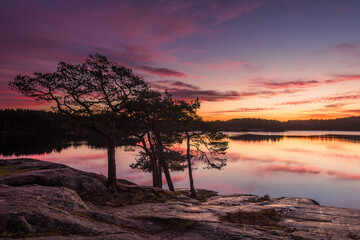 Sunrise over still lake with trees outside Gothenburg