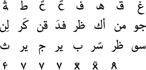 Realistic Vector Set of Lychee Fruits: Whole, Halved with Seed, and Green Leaves