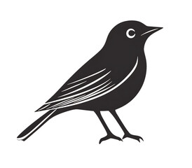 Fototapeta premium Black Bird Silhouette on Transparent Background, Perfect for Design Projects